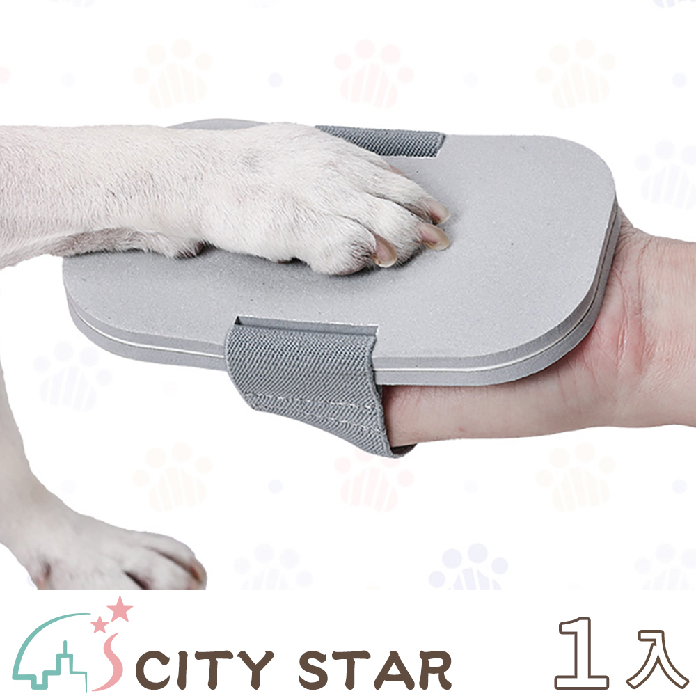 CITY STAR 寵物修爪磨爪訓練刮板