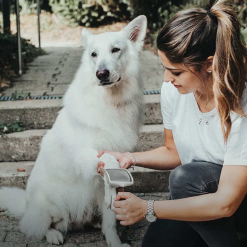 德國進口狗狗專用梳毛器小中大型犬寵物去浮毛刷自清潔神器
