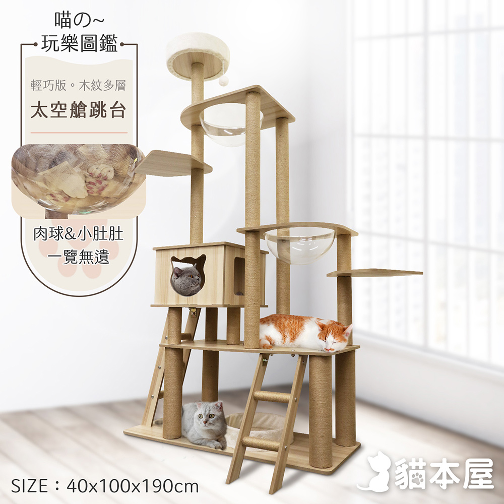貓本屋 190cm挑高雙太空艙 雙爬梯多層貓跳台