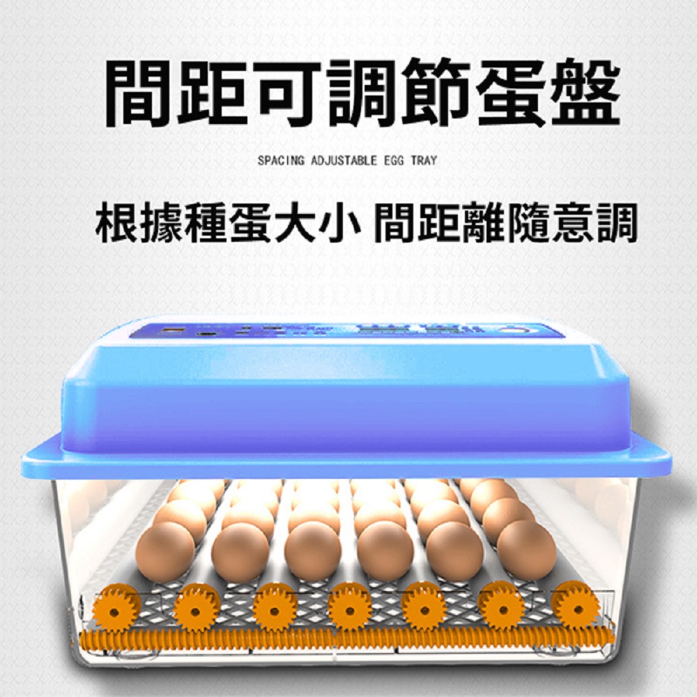 110V孵化機孵蛋器36枚孵蛋機雙電源可接12V 全自動控溫雞鴨鳥蛋家禽全自動孵蛋箱- PChome 24h購物