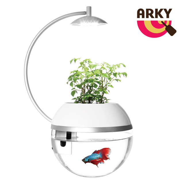 ARKY 香草與魚Herb&Fish