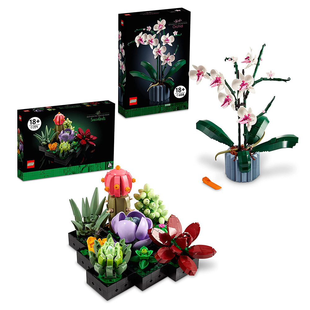 樂高 LEGO 積木 Creator 多肉植物 10309 蘭花 10311W 兩款合一優惠組 - PChome 24h購物