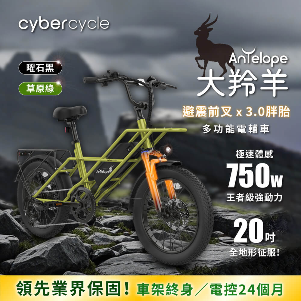 雙羚 CyberCycle】Antelope 48V 小羚羊- 多功能親子電輔車(親子車)