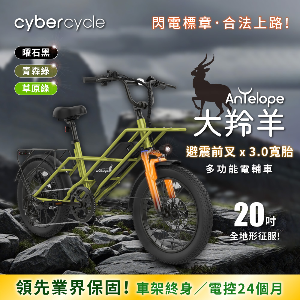 Antelope 大羚羊 - 20吋 強動力x前避震 多功能胖胎電輔車 (親子車/胖胎車)