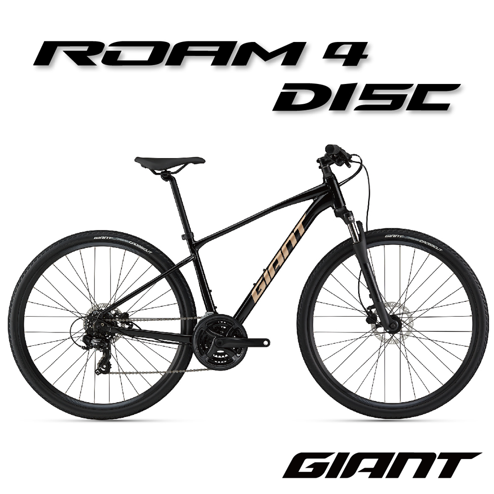 GIANT ROAM 4 DISC 2022 - PChome 24h購物