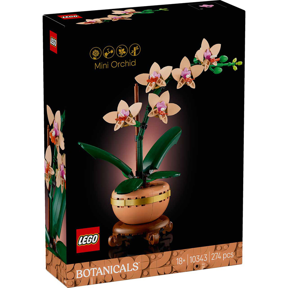 LEGO 樂高 10343 202501 花藝系列 - 迷你蘭花