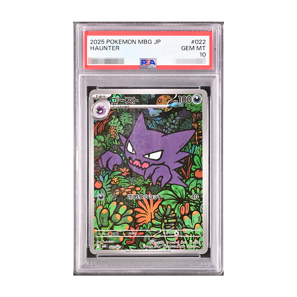 Pokémon 寶可夢PTCG 月亮伊布V SR (S6a 085/069) 月夜特繪鑑定卡【PSA