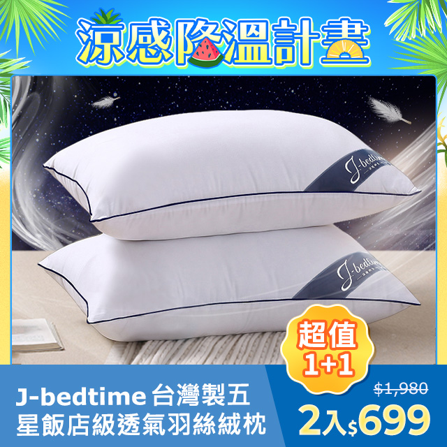 台灣製五星級飯店6D透氣羽絲絨枕頭2入