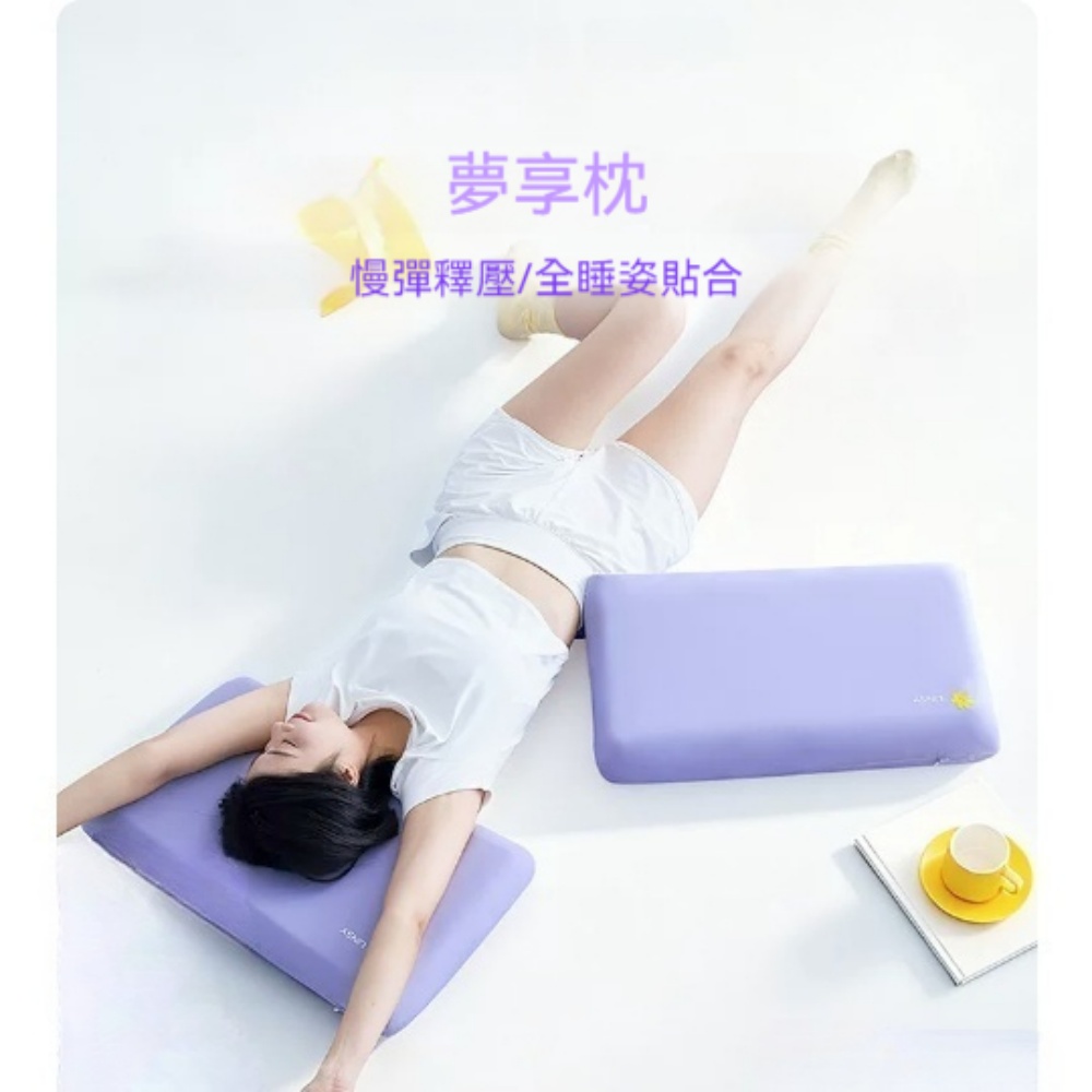 意馳 YICHI 記憶棉枕 夢享枕 單個裝 高枕10cm+外套 記憶綿 枕頭 單人枕芯 慢回彈護頸椎 柔彈有度