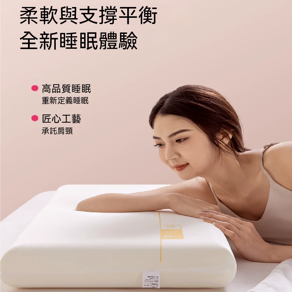枕頭 慢回彈枕頭 記憶棉枕頭 護頸椎枕頭 助睡眠枕頭 酒店枕頭 成人枕芯 42x70cm【高枕】一對裝