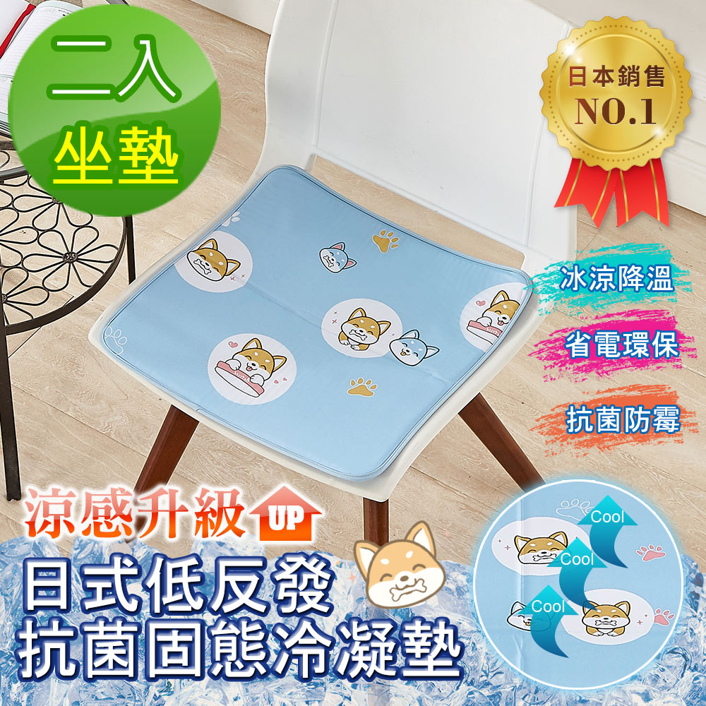 Betrise 日本夯熱銷抗菌固態凝膠持久冰涼墊-獨家開版(坐墊-超值買一送一)