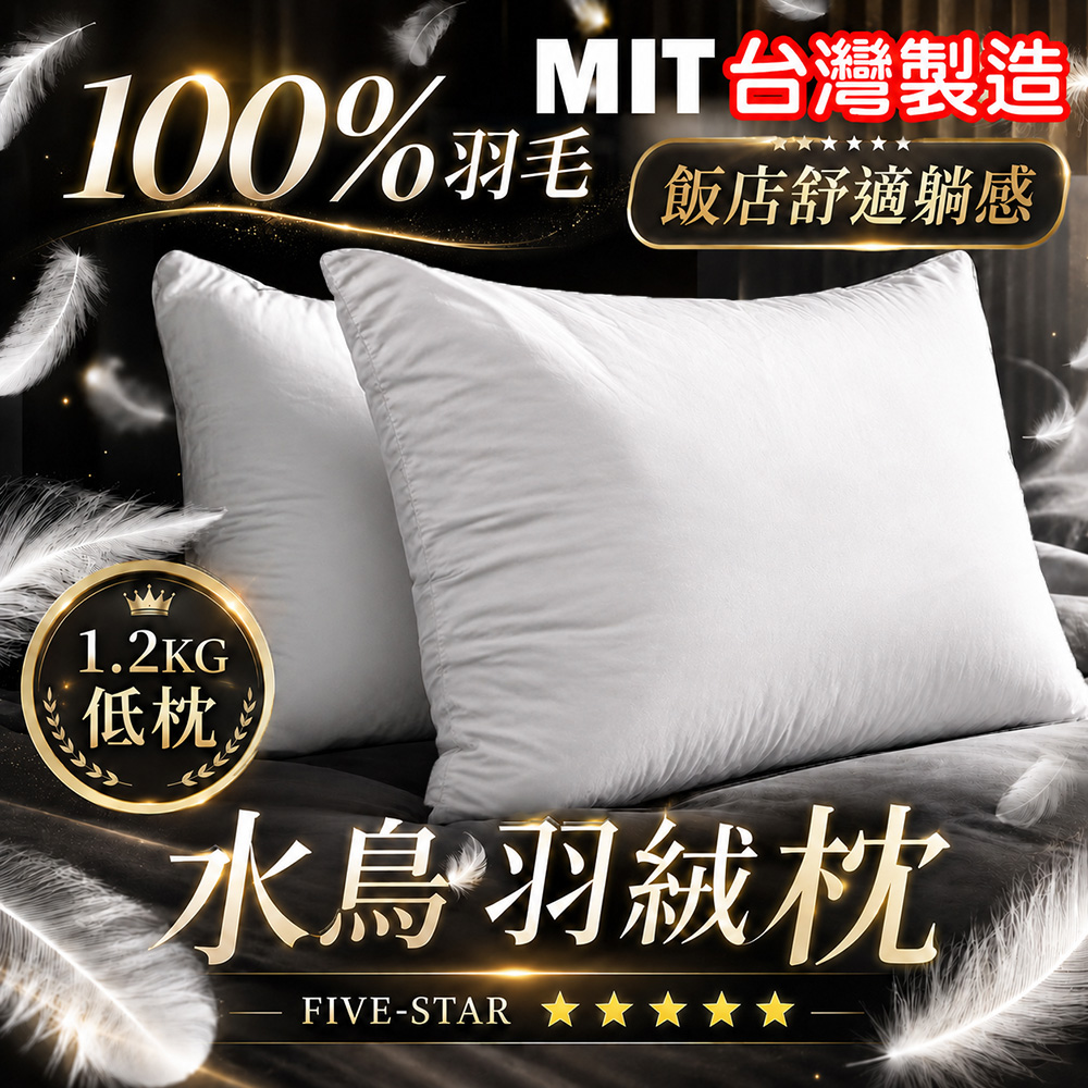 藻土屋 MIT頂級水鳥羽毛枕飯店枕頭 羽毛枕 低枕-SUD