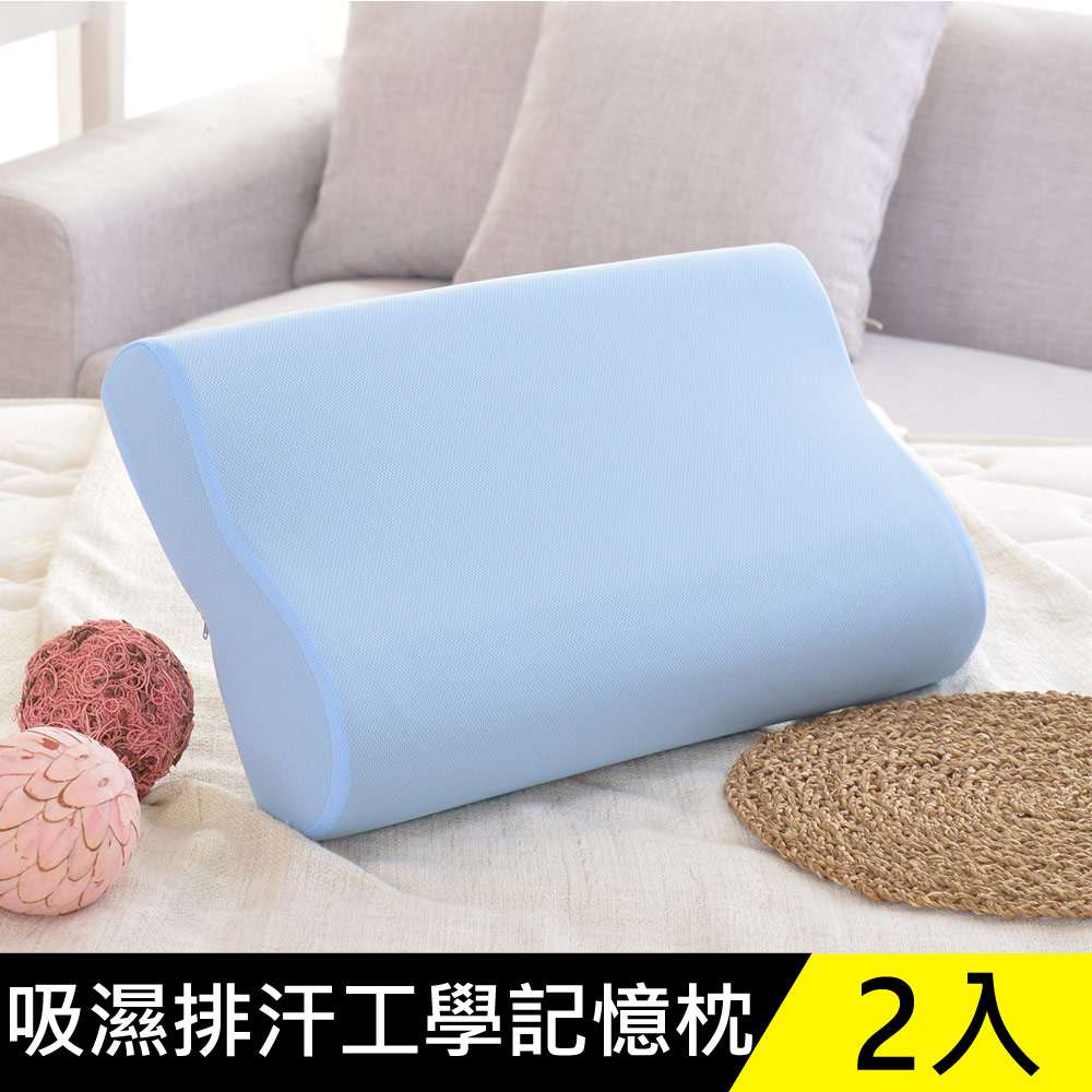 LooCa吸濕排汗人體工學記憶枕(2入)-藍
