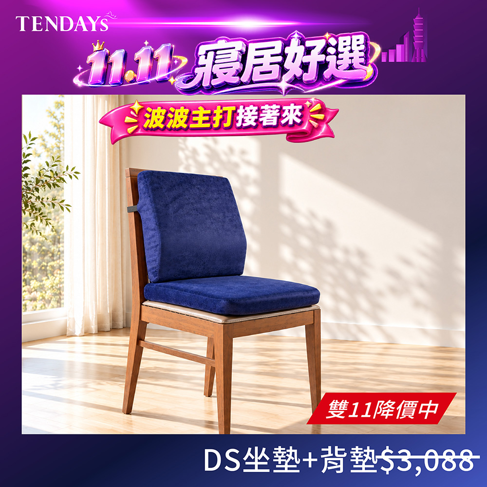 TENDAYS DISCOVERY辦公室背墊+椅墊組合(丈青蜜絲絨)