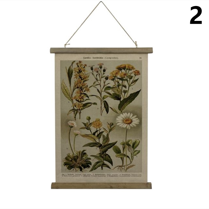 美式復古卷軸植物圖鑑裝飾掛畫40*60CM(4款可選) - PChome 24h購物