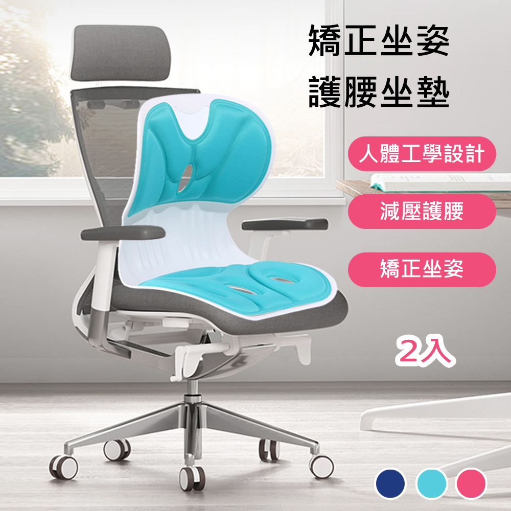 新款矯正坐姿減壓護背坐墊2入組(護腰靠墊/美脣坐墊/護腰墊/椅墊/腰/腰枕) - PChome 24h購物