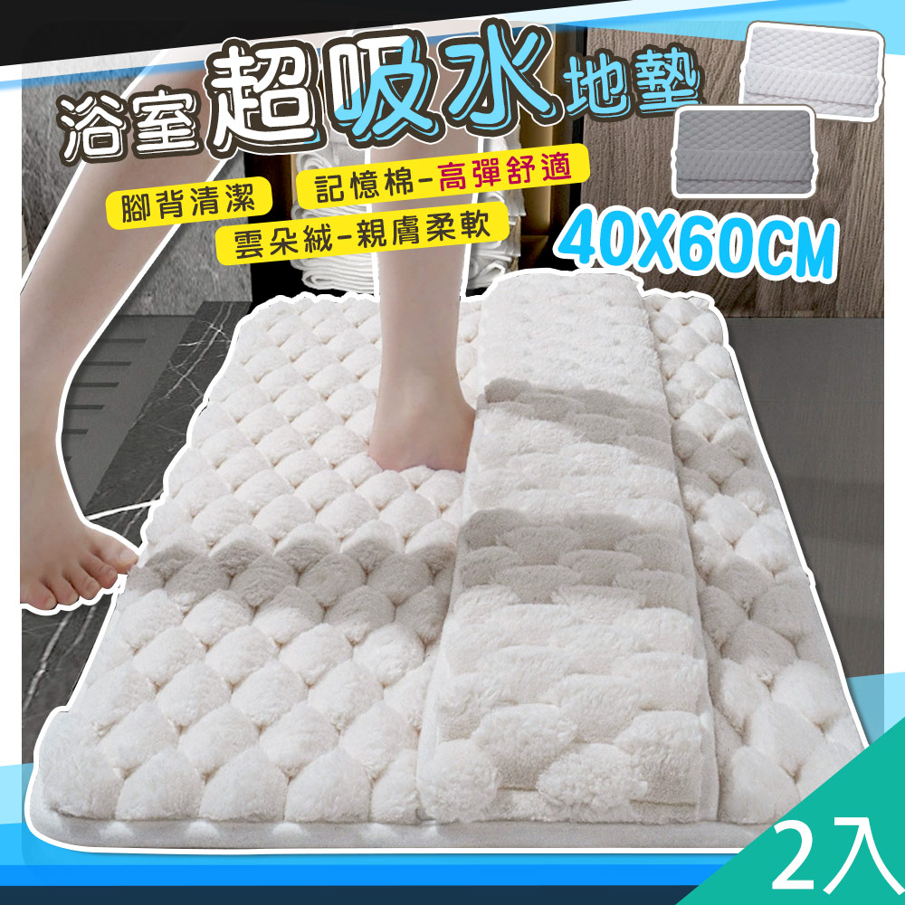 藻土屋 2入-雲朵絨厚款軟綿綿吸水地墊-A /浴室地墊 廚房地墊 地毯 房間地墊 地墊玄關