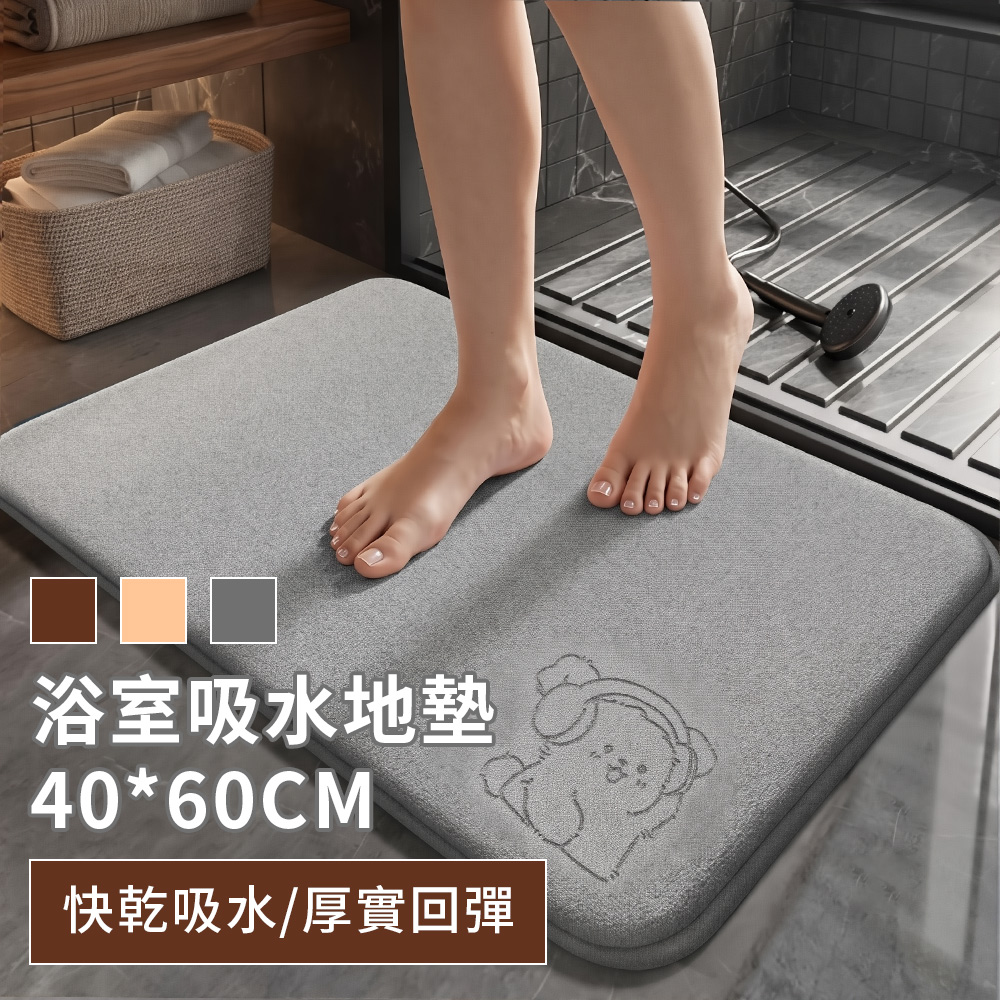 QLZHS 浴室吸水地墊 40*60CM 透氣止滑地墊 速乾地墊 廚房防油地墊 家用衛生間腳踏墊 玄關地墊