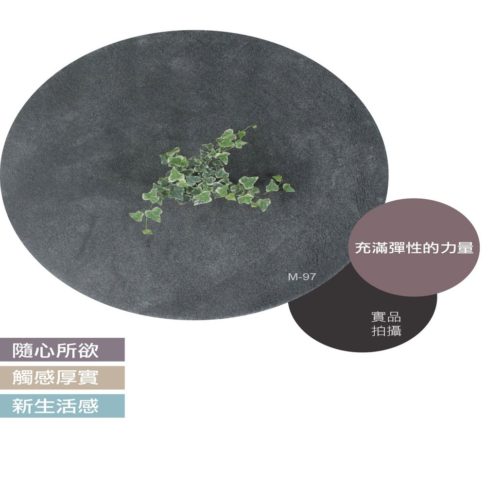 范登伯格 比利時 Magnificus超厚實進口地毯 深灰 (130cm圓 )
