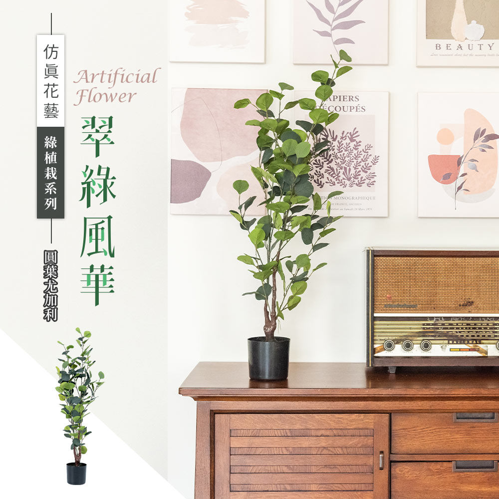 dayneeds 日需百備 仿真草植-綠植栽系列/翠綠風華-圓葉尤加利