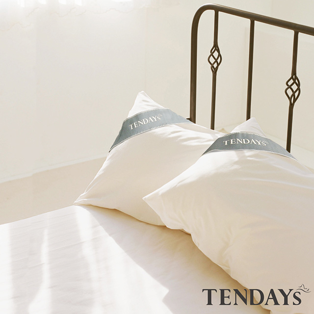 TENDAYS 健康防螨枕套(單入)
