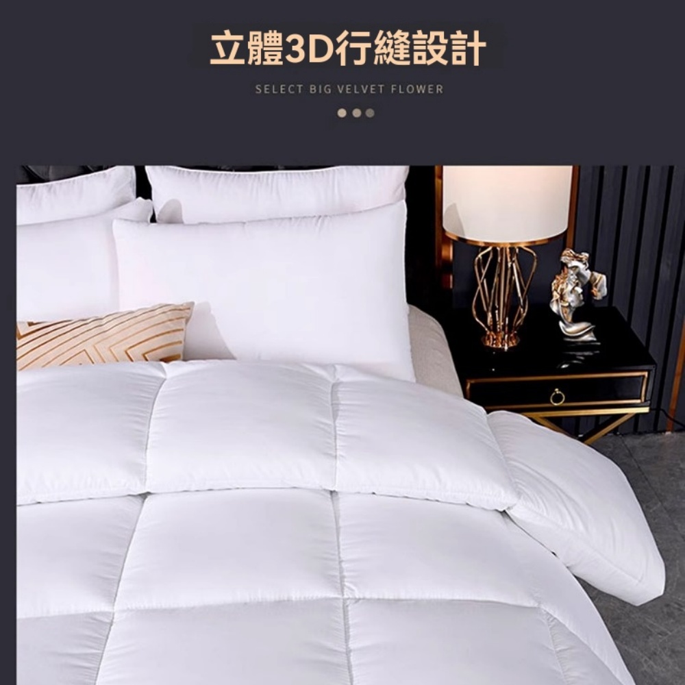 臻彩 180×220cm羽絲絨被 加厚保暖春秋被 冬被 絎縫設計 質感豐厚 透氣鎖溫 適合10-20度