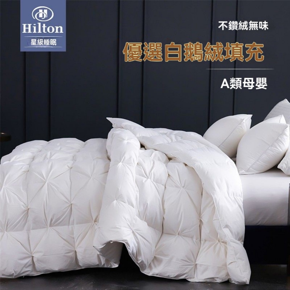 臻彩 180×220cm五星級酒店正品羽絨被 白鵝絨冬被 保暖被 春秋被 被芯 保暖透氣 輕柔舒適 親膚貼身