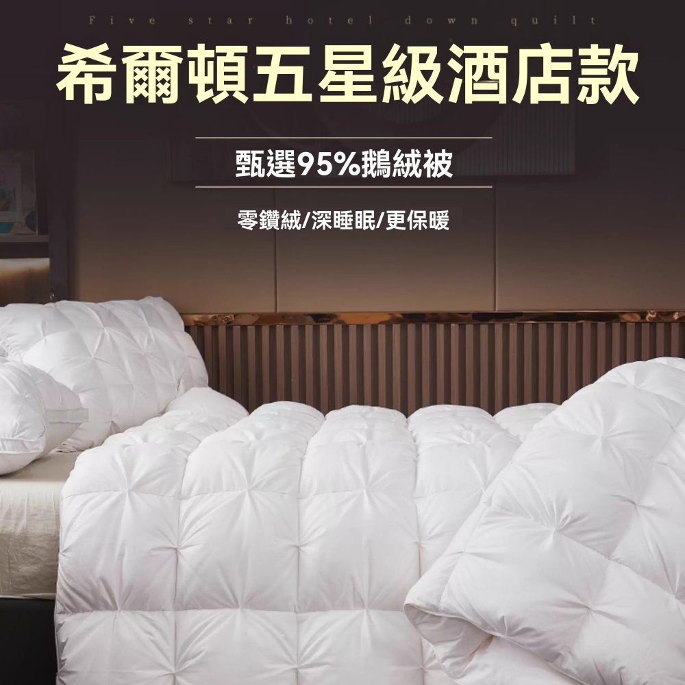 臻彩 220×240cm五星級酒店正品羽絨被 白鵝絨冬被 保暖被 春秋被 被芯 保暖透氣 輕柔舒適 親膚貼身