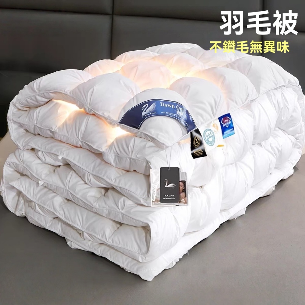 現貨速發 羽絨被 羽毛被絲絨被 保暖鵝毛被 加厚鵝毛被 單雙人被 保暖被 超輕羽絨被 白鵝絨被 180*220cm