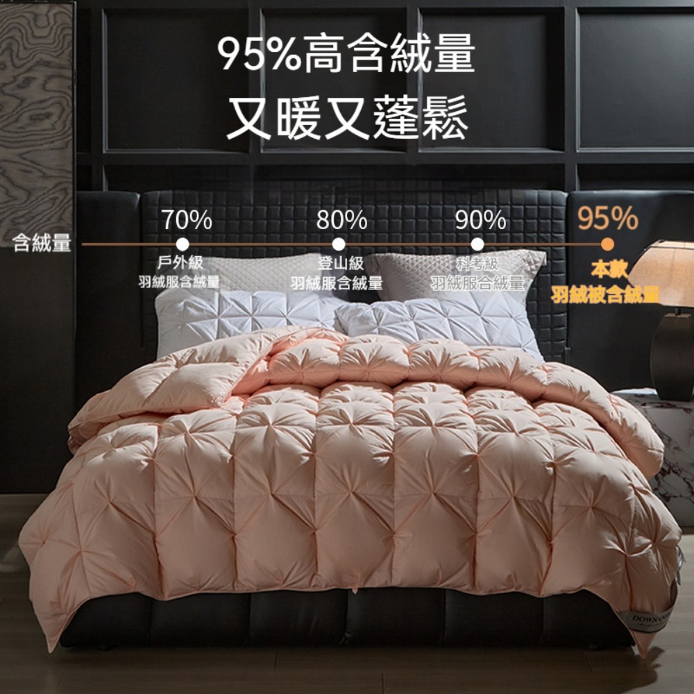 YIMI 依米 200x230cm大朵白鵝絨被 全棉面料羽絨被芯 高蓬鬆不鑽絨 春秋被秋冬被深冬加厚被 加大被芯