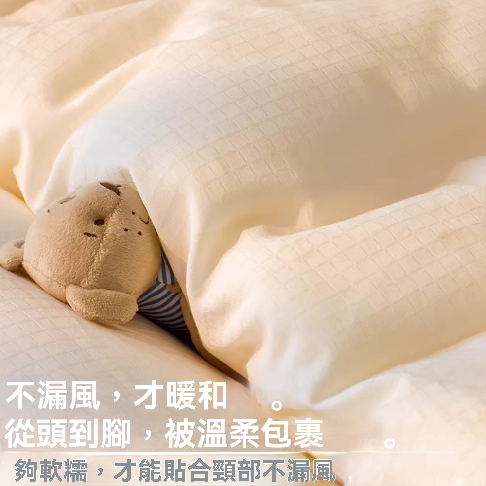 臻彩 220×240cm大豆纖維被 超級鬆軟 加厚保暖 被芯 單人被 貼膚蓄熱 純淨面料 持久保暖
