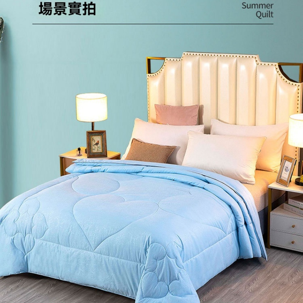 臻彩 220×240cm蠶絲被 加厚保暖冬被 春秋被 雙人被 蠶絲填充 蓄熱保暖 吸濕排汗 活性印染 親膚柔軟