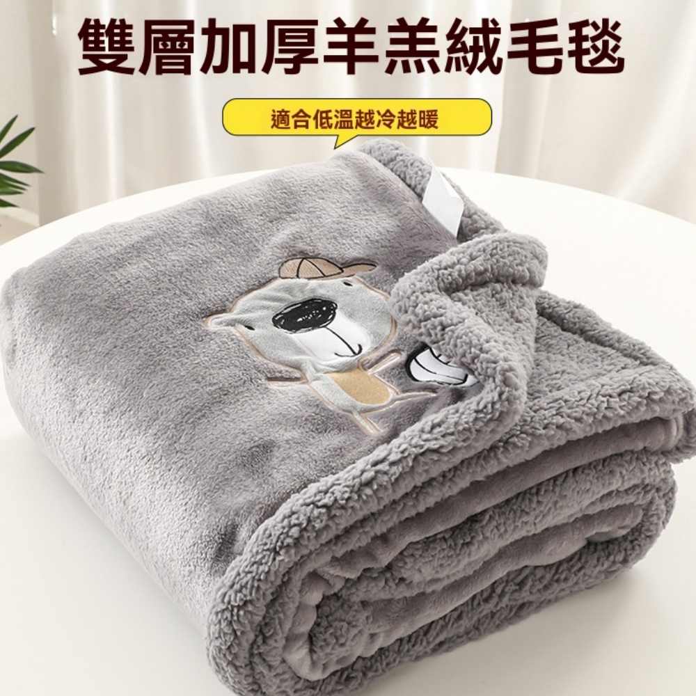 臻彩 200×230cm羊羔絨被子 加厚蓋毯 午睡毯 居家必備 珊瑚絨毛毯 加密植絨 蓄熱保暖 細膩綿柔