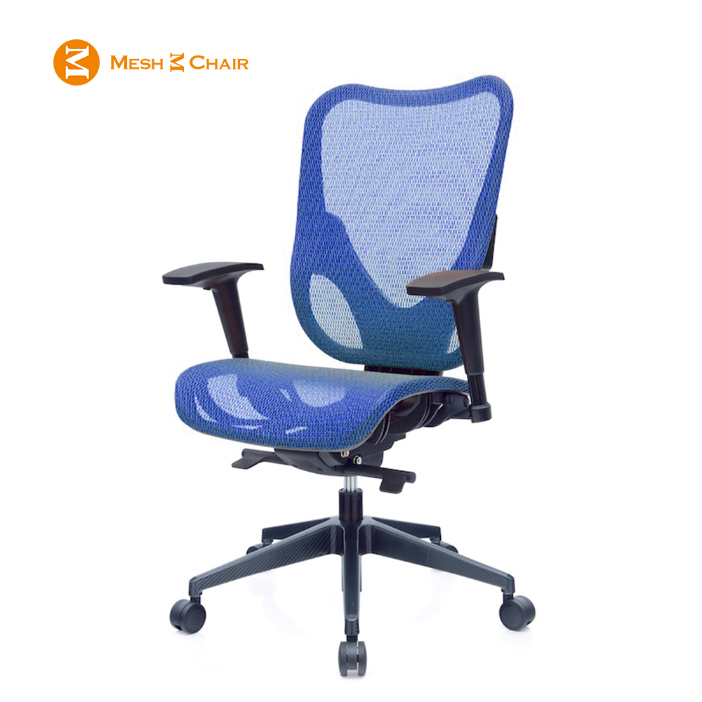 Mesh 3 Chair 崴美 華爾滋人體工學網椅-無頭枕(藍色)