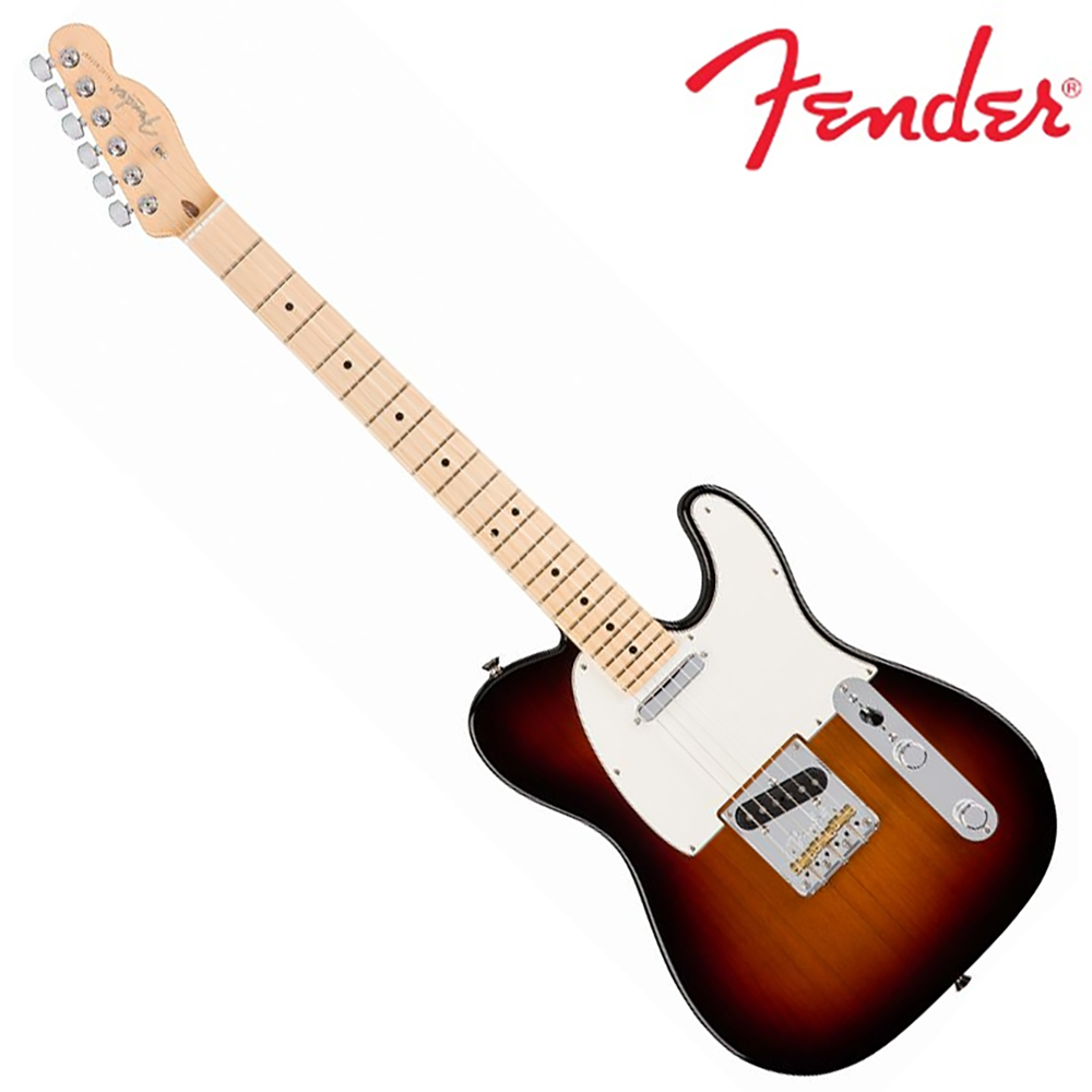 Fender American Professional系列琴款電吉他 Telecaster Maple / 公司貨保固