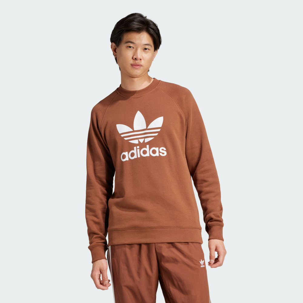 adidas 愛迪達 TREFOIL CREW 圓領套頭衫 男款 大學T 咖啡色-IZ2357