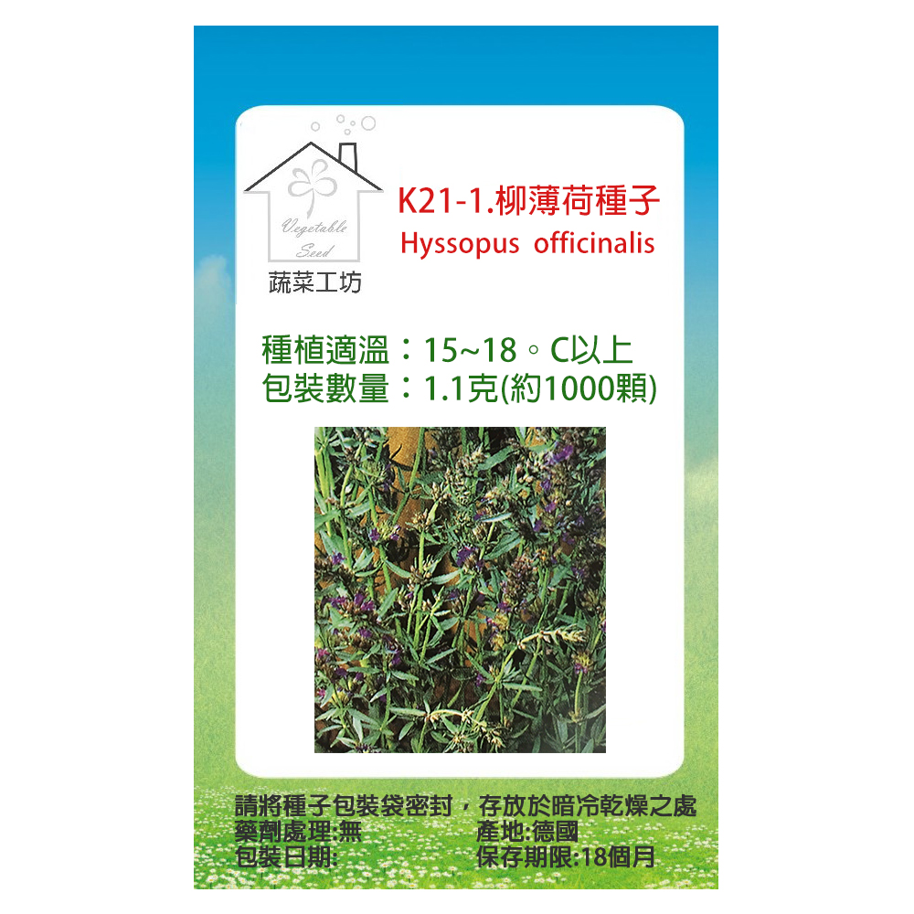 K21 1 柳薄荷種子 神香草 海壽花 Pchome 24h購物