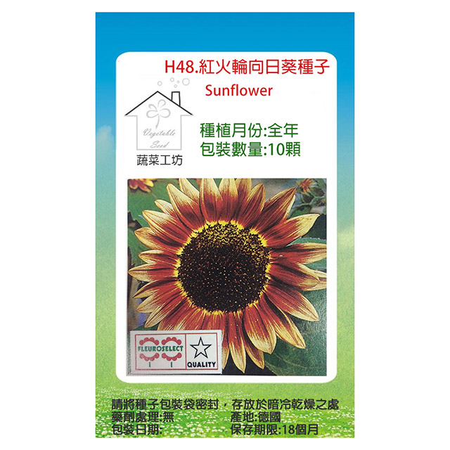 向日葵種籽葵花籽可種瓜子種子種苗特大食葵四季陽臺蔬菜