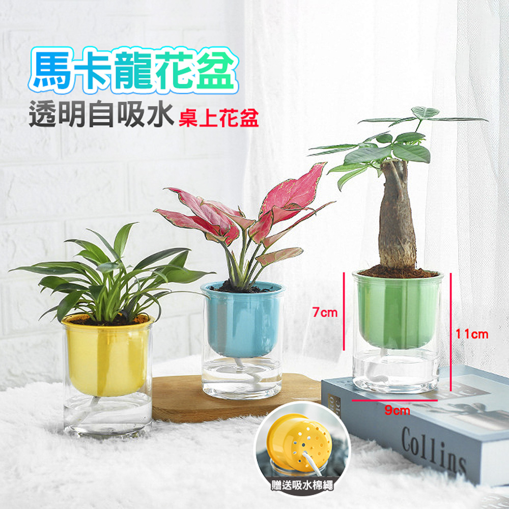 Fioja 費歐家 馬卡龍系列自動吸水花盆免澆水懶人盆栽 Pchome 24h購物