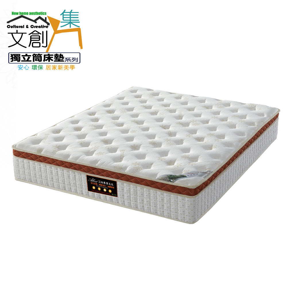 Albert 艾柏 3D天絲抗菌乳膠6尺雙人加大護框獨立筒床墊