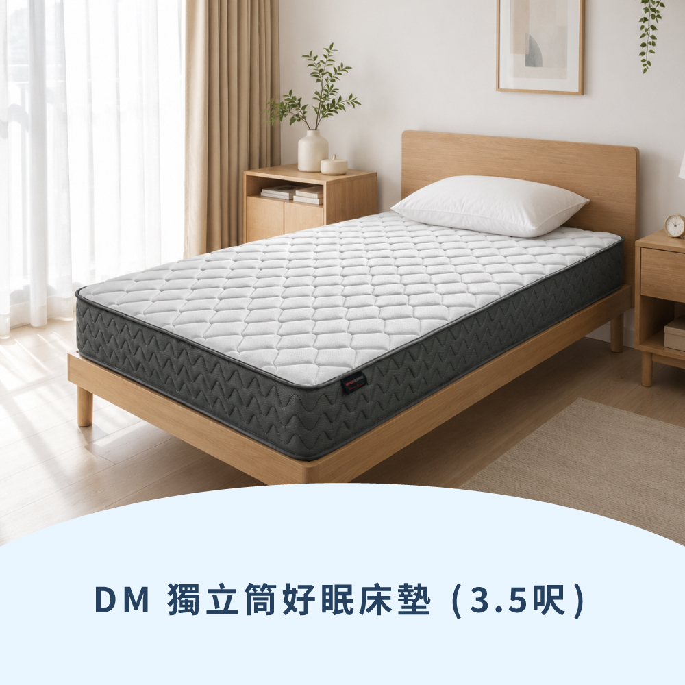 RICHOME DM獨立筒3.5呎好眠床墊 BE293