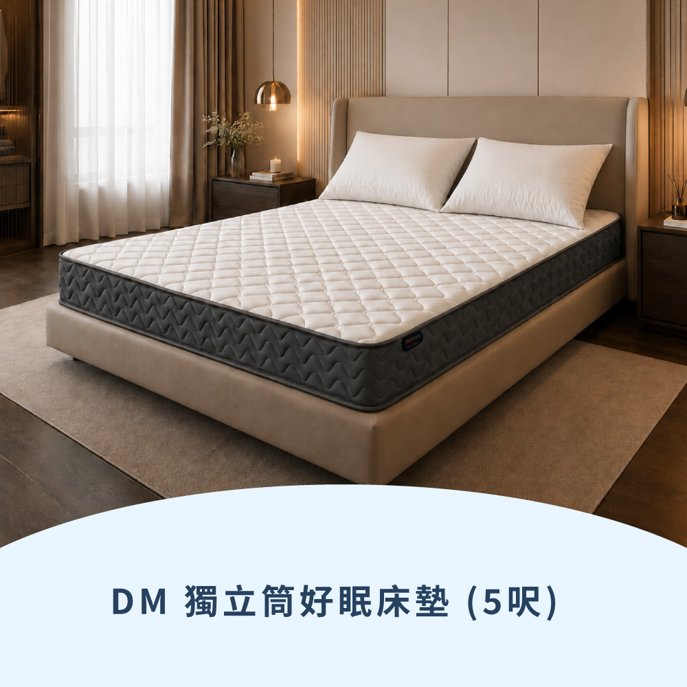 RICHOME DM獨立筒5呎好眠床墊 BE294