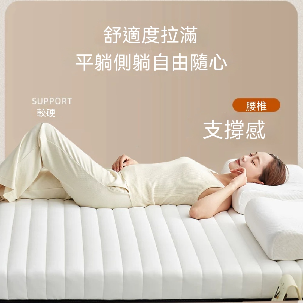 軟墊 乳膠床墊 軟墊 臥室榻榻米墊子 薄款軟墊 記憶棉軟墊 海綿墊 褥子床褥墊 90x200cm 厚約9CM