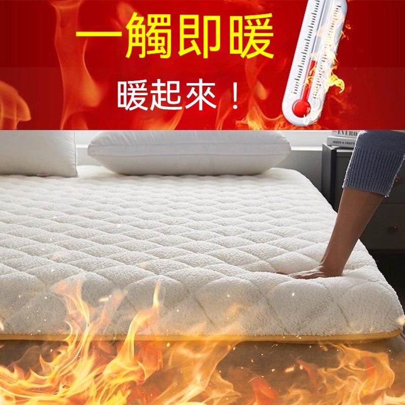 【銘利萊】租房專用家用雙人定做榻榻米墊被羊羔絨床墊軟墊 冬季保暖加厚褥子 200*220*6CM