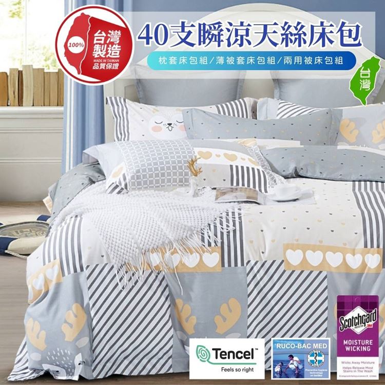 寢安家居 天絲品牌防蹣抗菌兩用被床包組-6尺加大 (TP03 四件組 床單床罩涼被)
