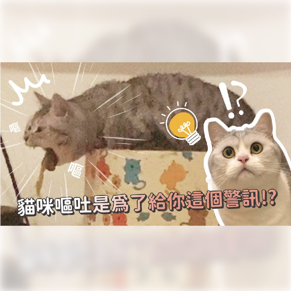 catgarden 貓後苑  專科排毛粉30包/盒