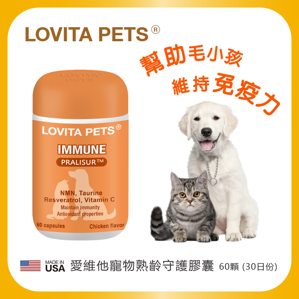 LOVITA 愛維他 寵物熟齡守護膠囊(60顆)