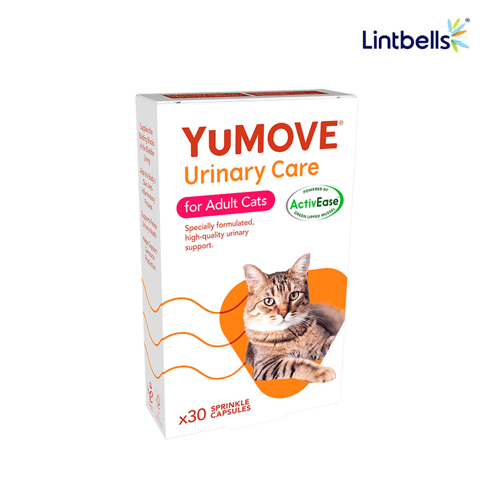 【YuMOVE 】優泌服(貓)30膠囊 (貓泌尿道保健 貓保健 寵物)