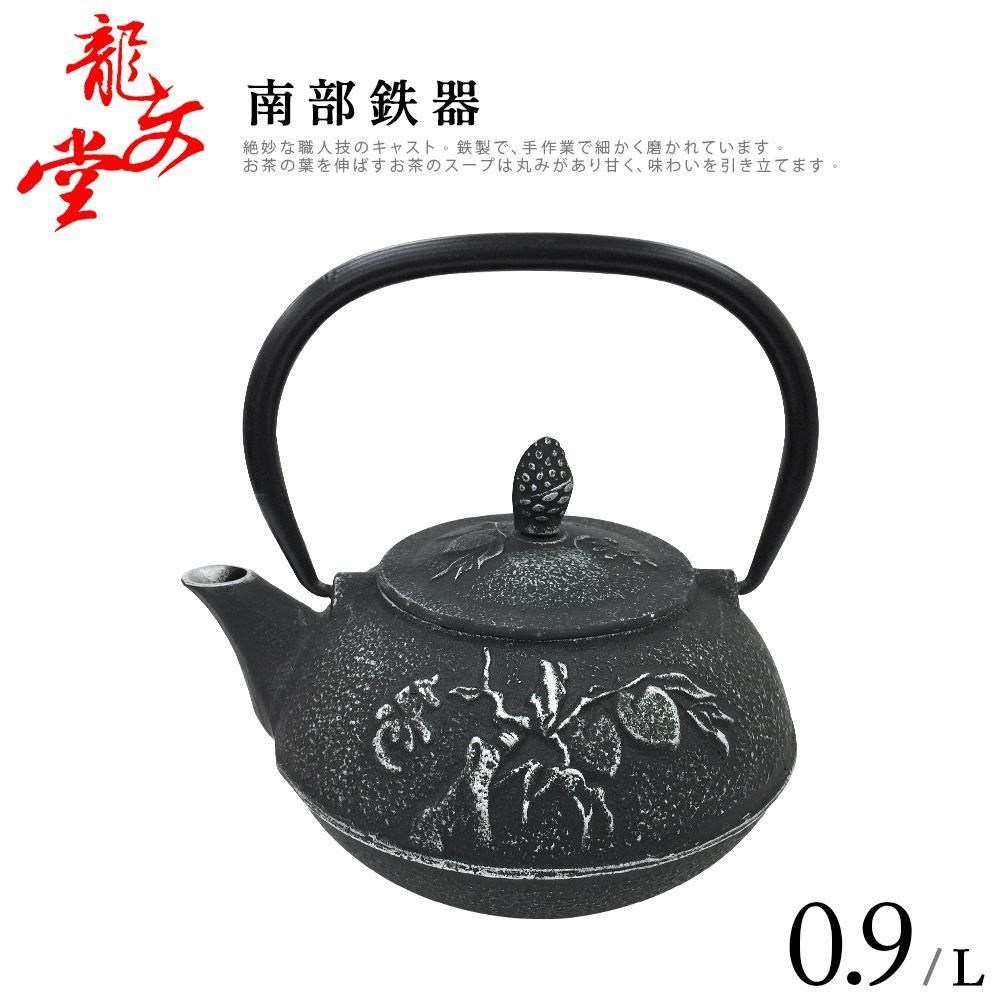 PERFECT 理想 龍文堂南部鐵器 青竹鐵壺0.9L(ST-0.9L)