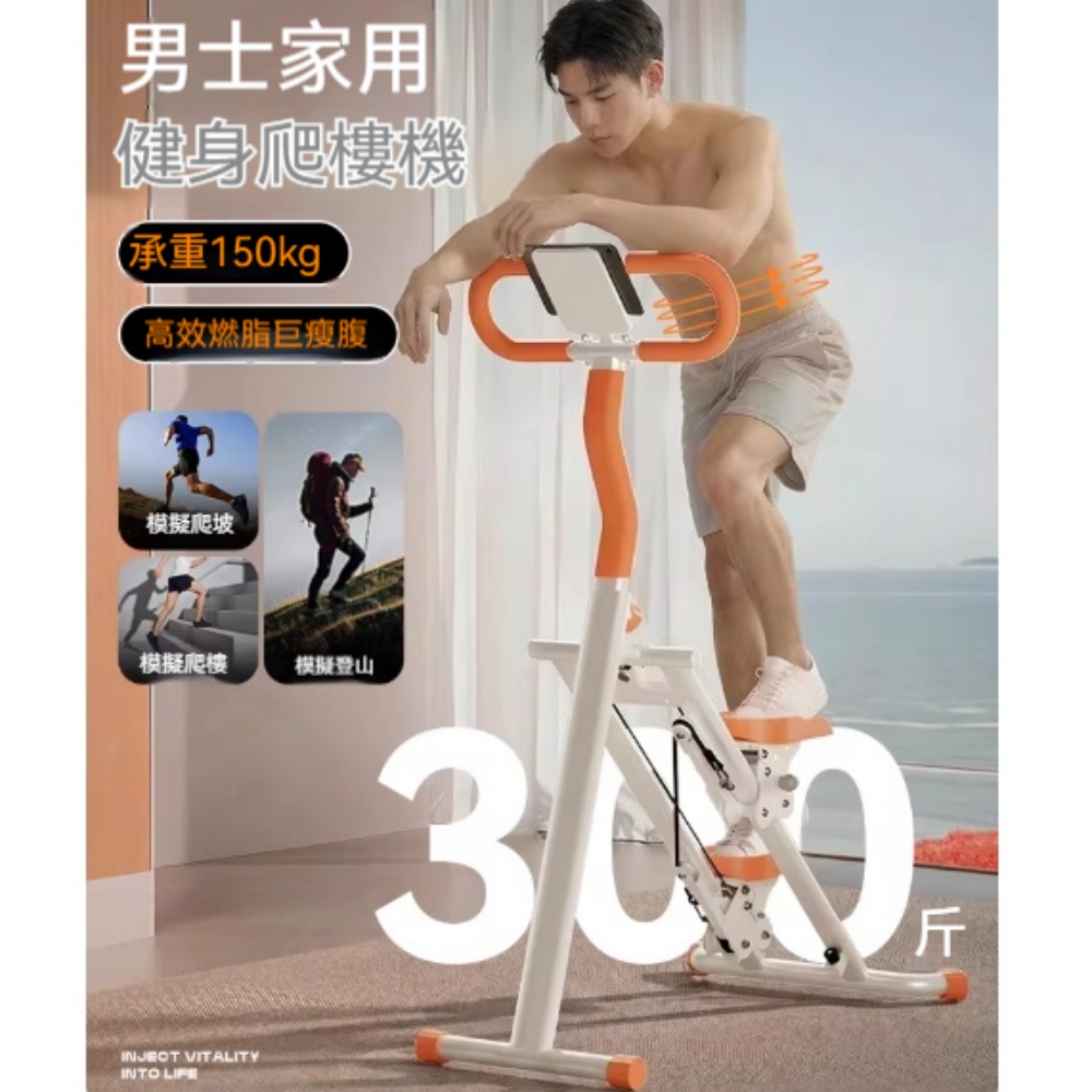 踏步機 爬樓機 樓梯機 登山機 健步機 家用健身機 原地運動器材 有氧訓練器 多功能健身器材